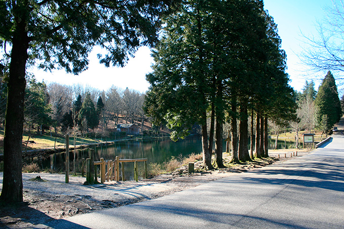 Lago Castiñeiras 